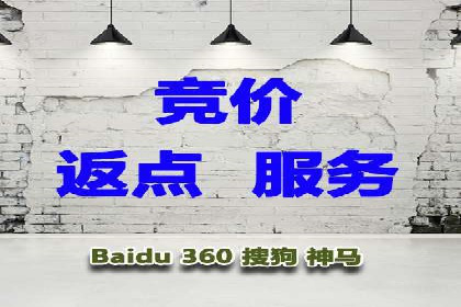 SEM服务案例：助力企业拓展海外市场